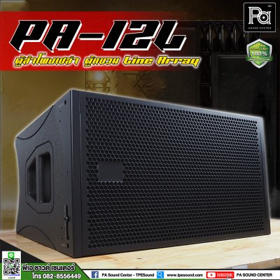 WSS PA-12L ตู้แขวนเปล่า Line Array 12 นิ้ว