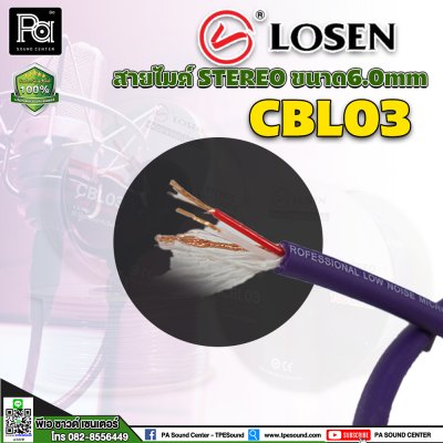 LOSEN CBL03 สายไมค์ STEREO ขนาด 6.0mm สีม่วง