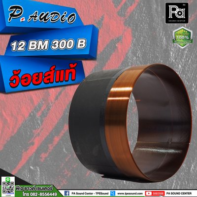 ว้อยส์ P.AUDIO 12BM 300B