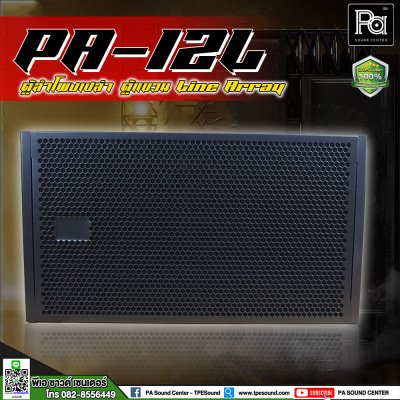 WSS PA-12L ตู้แขวนเปล่า Line Array 12 นิ้ว