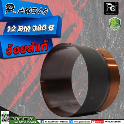 ว้อยส์ P.AUDIO 12BM 300B