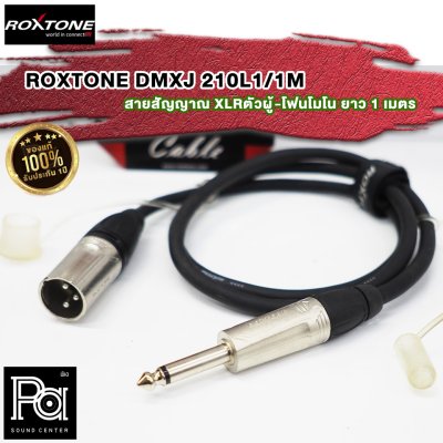 ROXTONE DMXJ250L1-1M สายสัญญาณ XLRตัวผู้-โฟนโมโน ยาว 1 เมตร