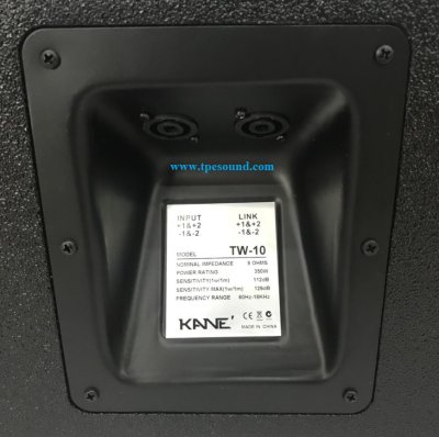 KANE TW10 VERA10 10" Line Array Speaker