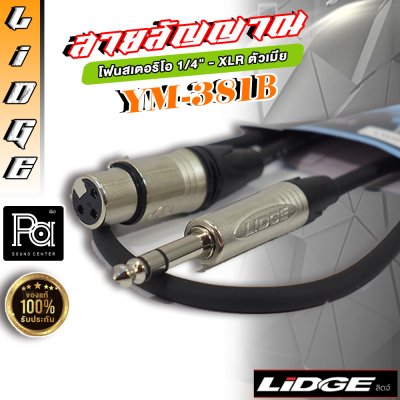 LIDGE YM-381B 1m. สายสัญญาณ โฟนสเตอริโอ TRS – XLR ตัวเมีย ยาว 1 ม.