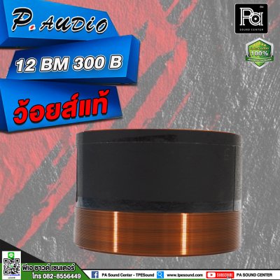 ว้อยส์ P.AUDIO 12BM 300B