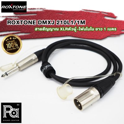 ROXTONE DMXJ250L1-1M สายสัญญาณ XLRตัวผู้-โฟนโมโน ยาว 1 เมตร