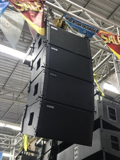 KANE TW10 VERA10 10" Line Array Speaker