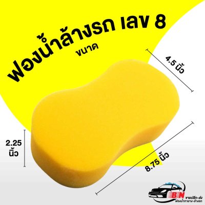 ฟองน้ำเลข 8