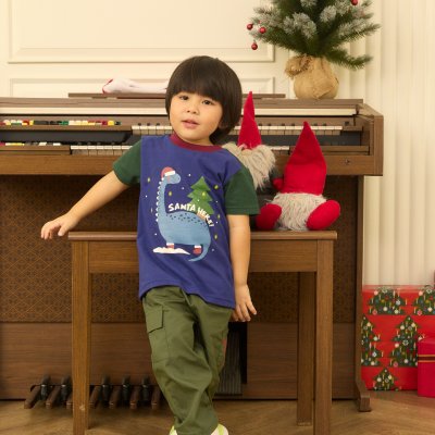 Picnic Before Santa is Coming