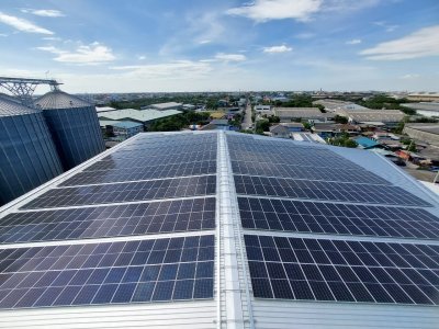 Green Roof - Commercial