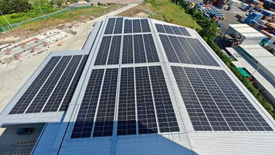 Green Roof - Commercial