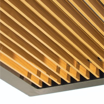 XTERIAL : 20x50 mm.