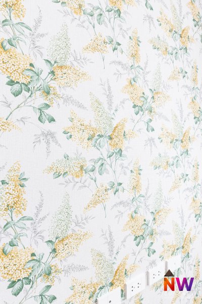 บ้านคุณน้อย พระราม 2