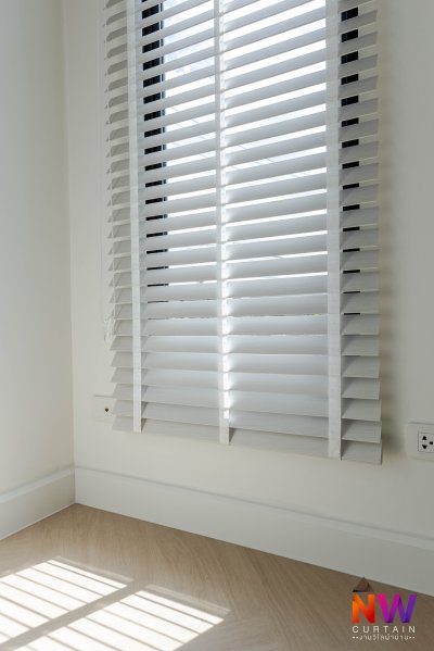 The Plant Klong 2 Rangsit