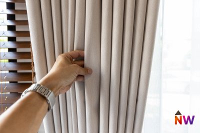 The Plant Klong 2 Rangsit