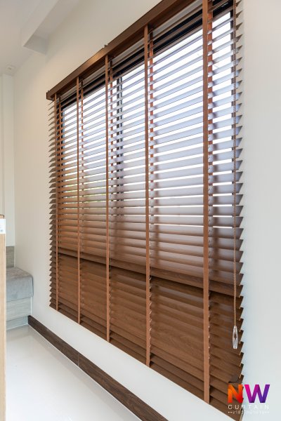 The Plant Klong 2 Rangsit