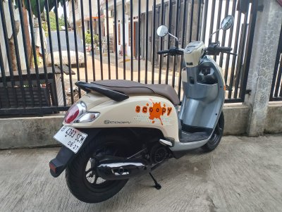 NEW SCOOPY DONAT 2017