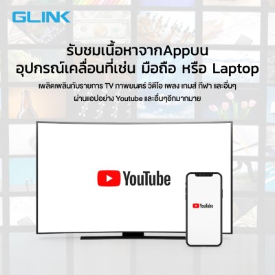 Video Adapter รุ่น GL-067