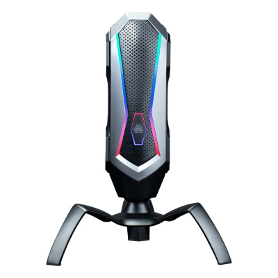 EGA Type MC3 Microphone Recording