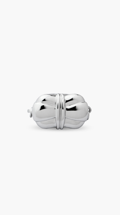 CLASP
