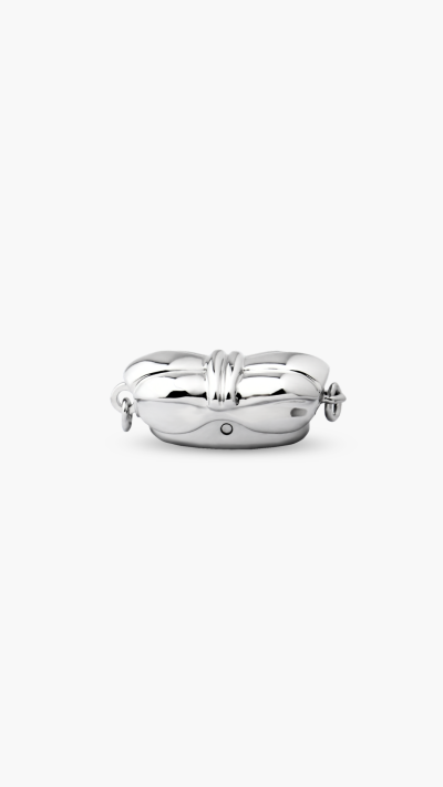 CLASP
