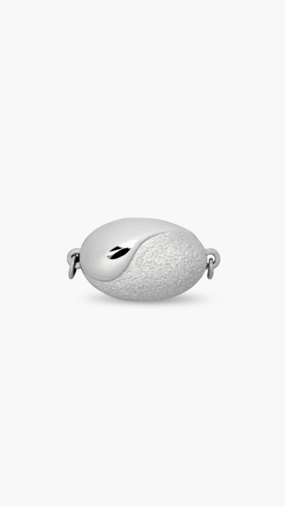 CLASP