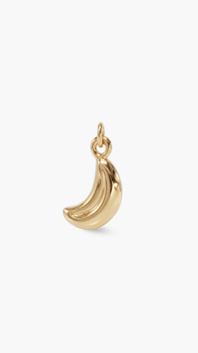 PENDANTS & CHARM