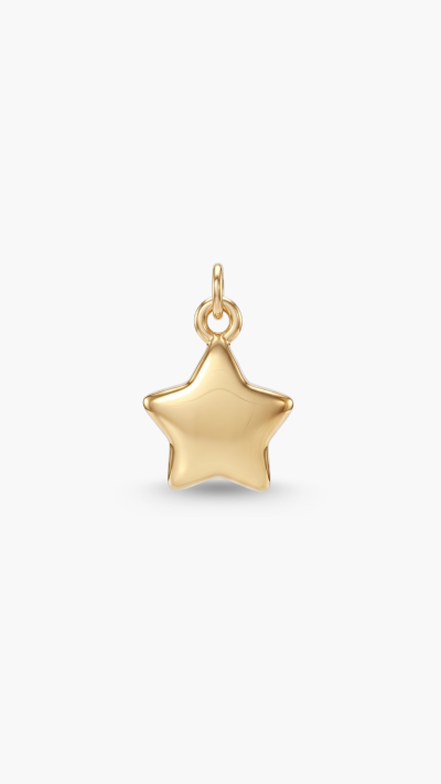 PENDANTS & CHARM