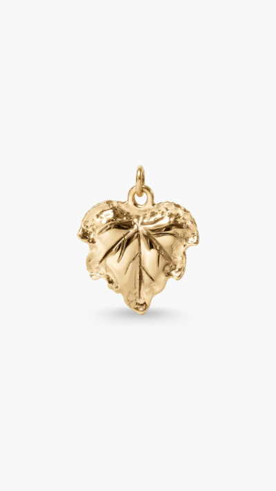 PENDANTS & CHARM