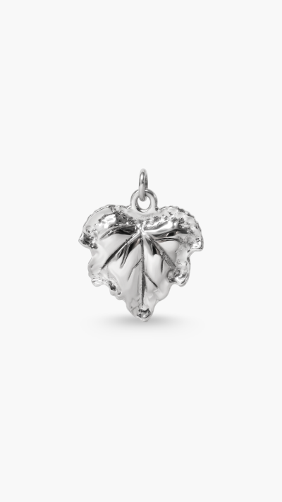 PENDANTS & CHARM