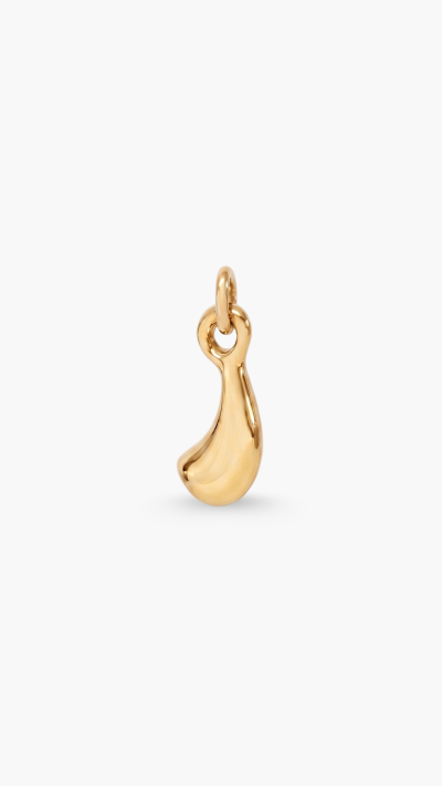 PENDANTS & CHARM
