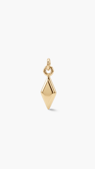 PENDANTS & CHARM