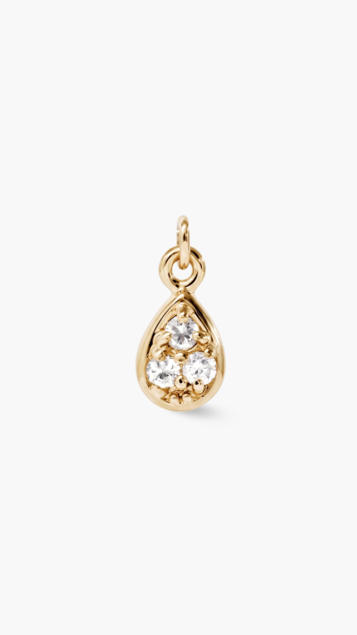 PENDANTS & CHARM