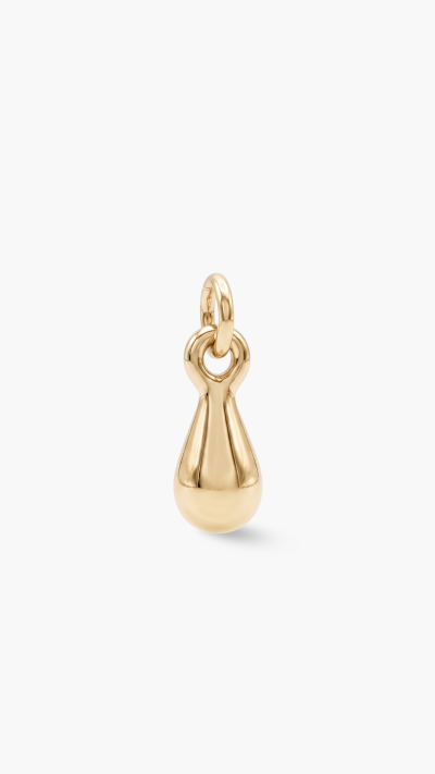 CHARM