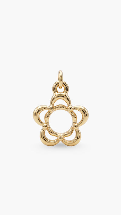 CHARM