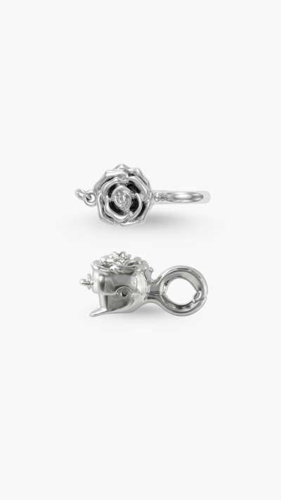 CLASP
