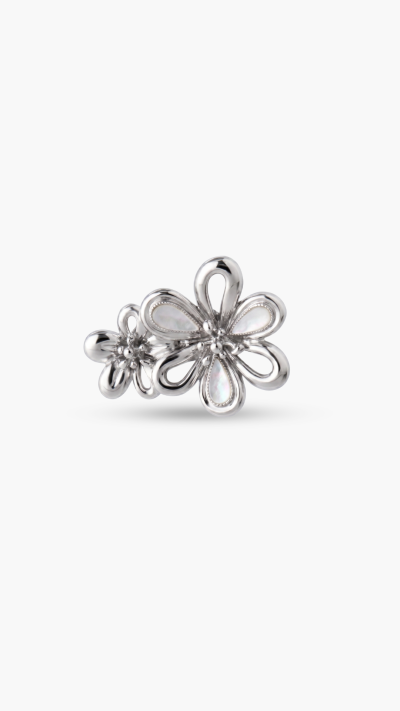 CLASP