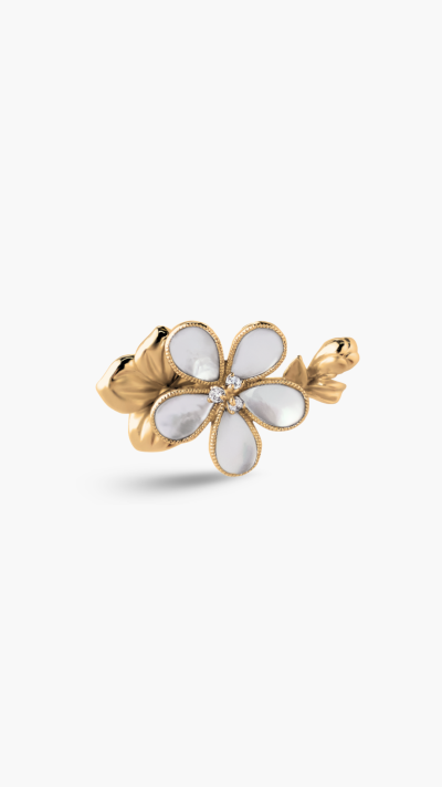 CLASP