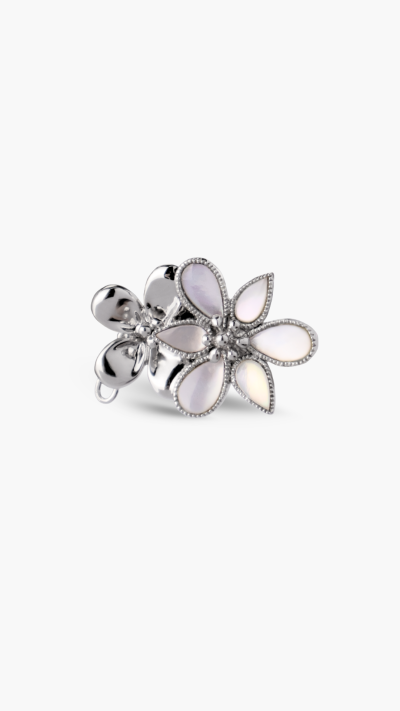 CLASP