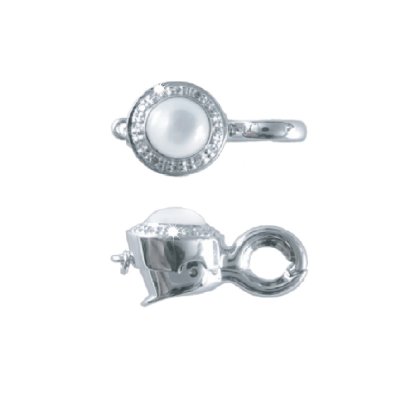 CLASP CLASP
