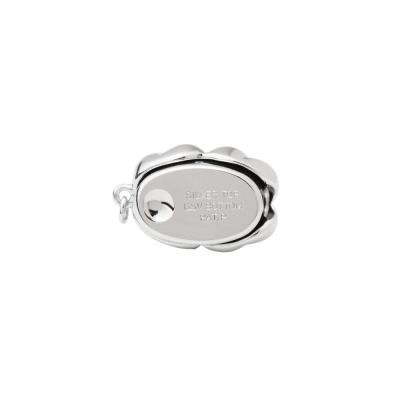 CLASP