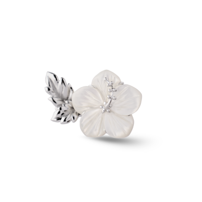 ตัวล็อก