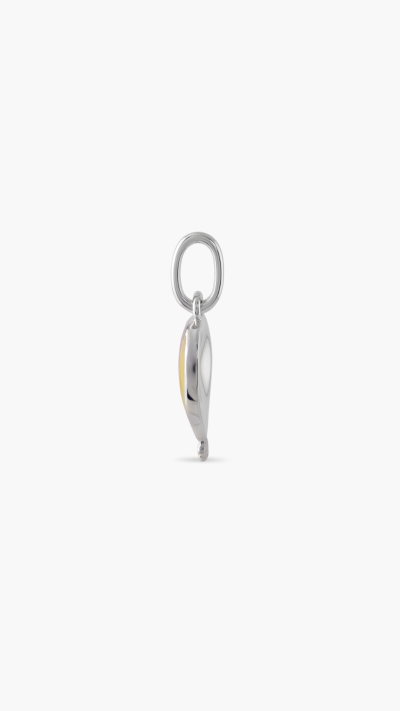 PENDANTS & CHARMS