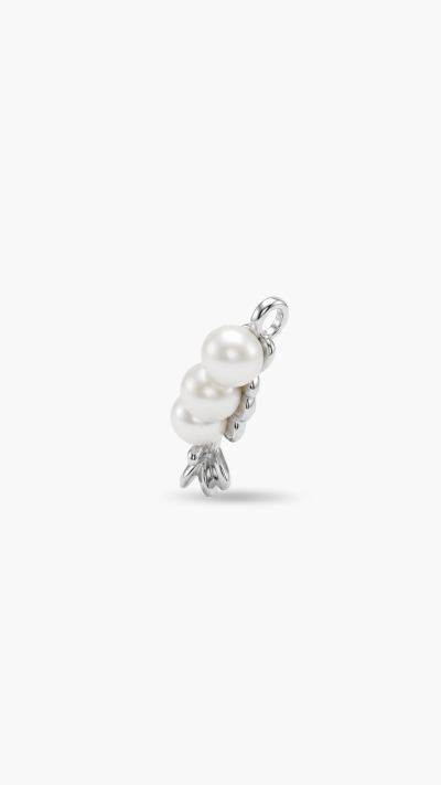 PENDANTS & CHARMS