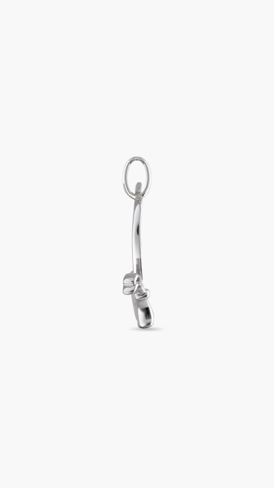 PENDANTS & CHARMS