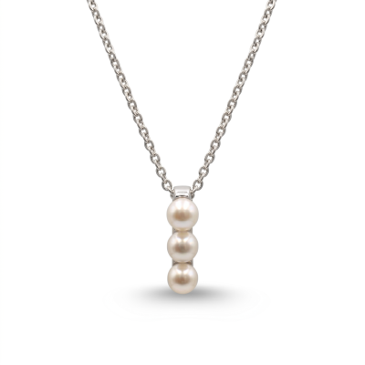 PENDANTS & CHARMS