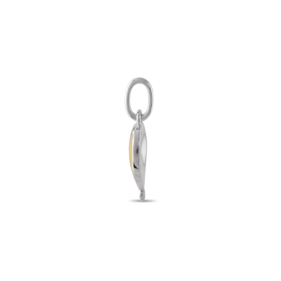 PENDANTS & CHARMS