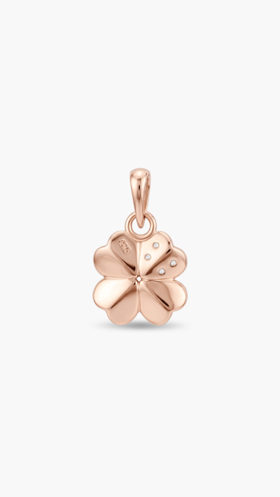 PENDANTS & CHARMS