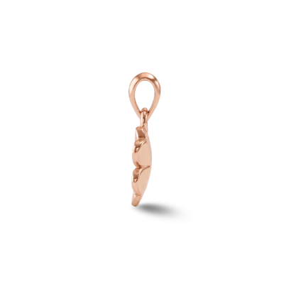 PENDANTS & CHARMS