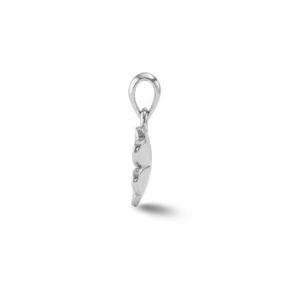 PENDANTS & CHARMS